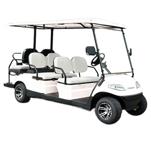 2 seater Golf cart