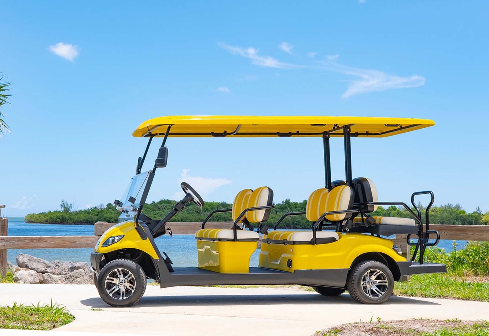 B6 4+2 Seater Golf Cart