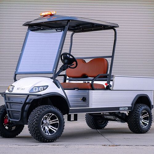 2 Seater Lifted Utility Cargo