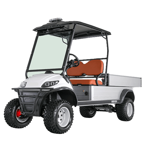 2 seater Golf cart