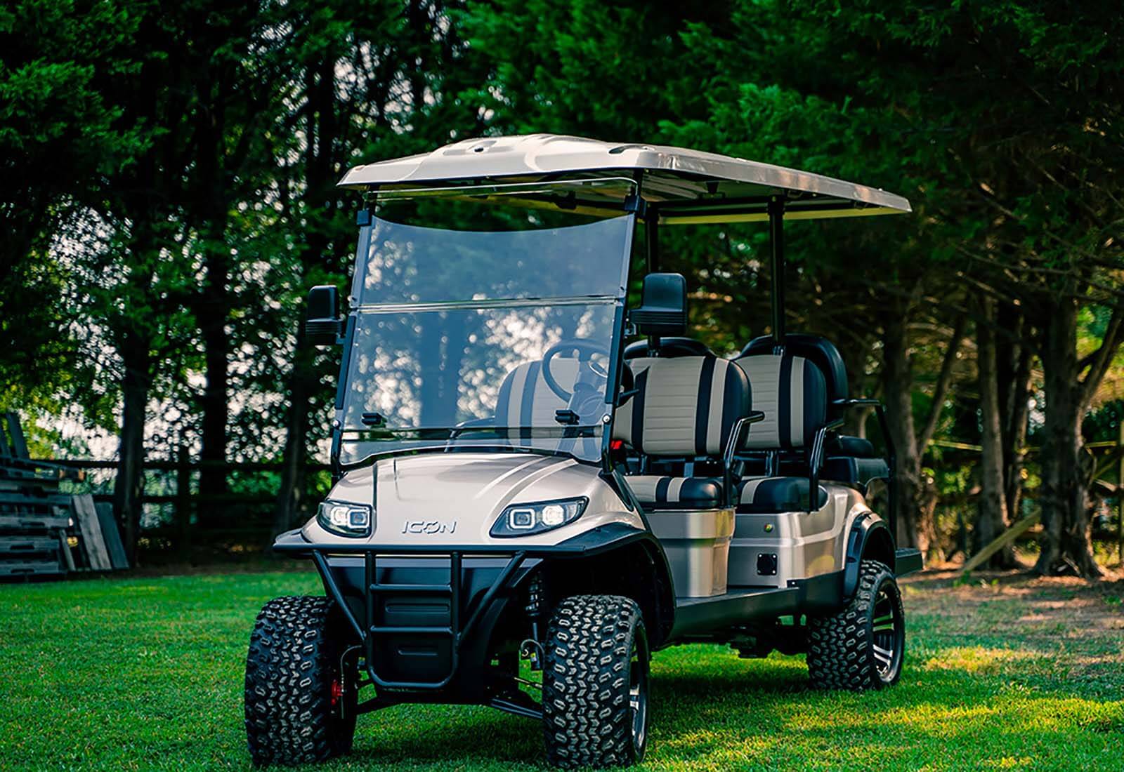 6 Seater Lifted Buggy